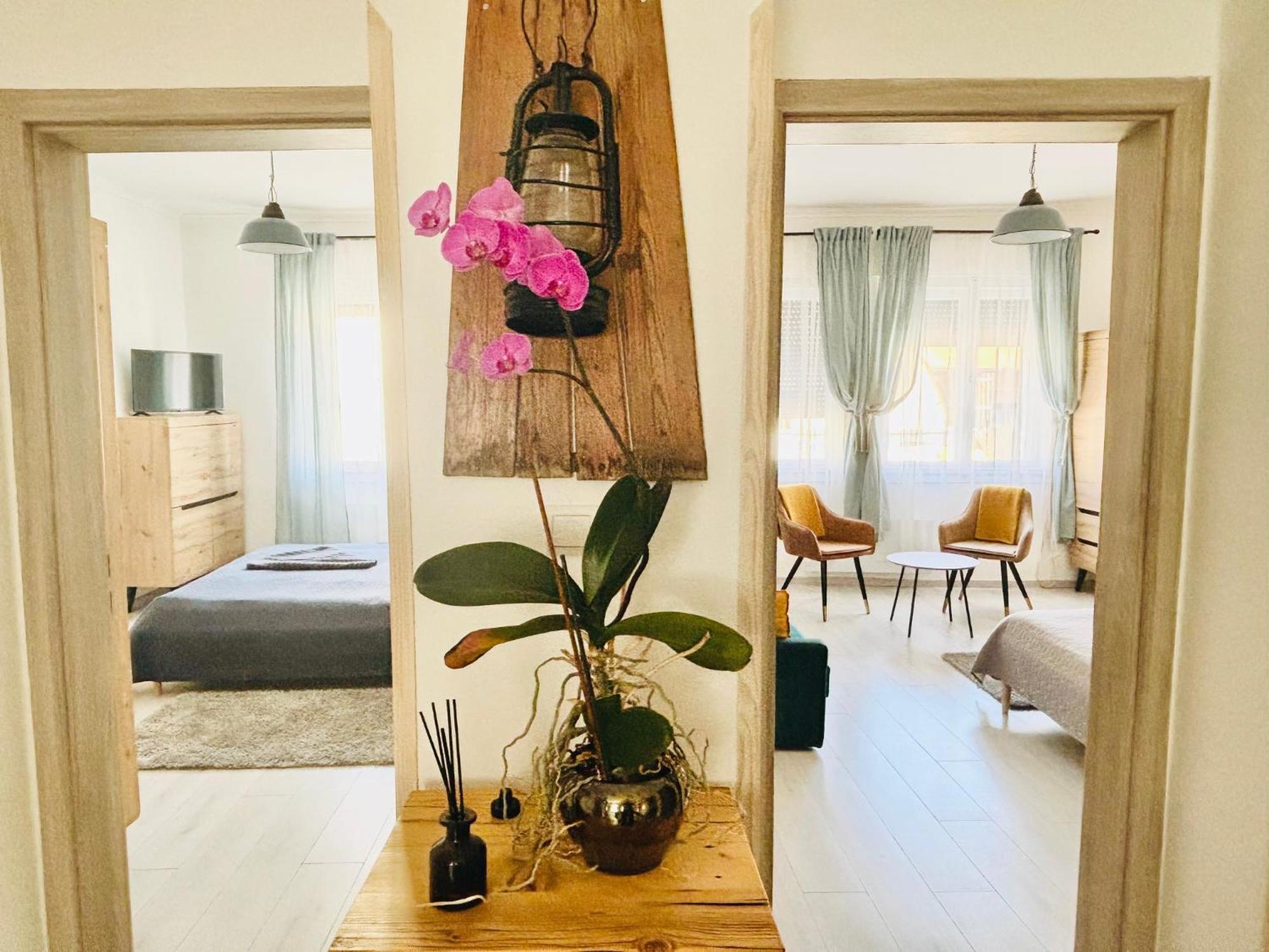 Peter Dock Boutique Villa كيستاي المظهر الخارجي الصورة